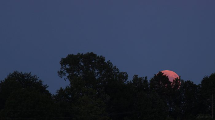 Mondaufgang über dem Guttenberger Forst am 16. Juli 2019 um 21:30 Uhr